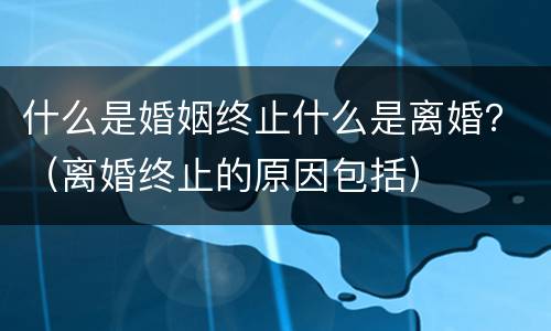什么是婚姻终止什么是离婚？（离婚终止的原因包括）