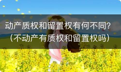 动产质权和留置权有何不同？（不动产有质权和留置权吗）