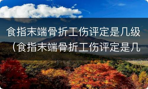 食指末端骨折工伤评定是几级（食指末端骨折工伤评定是几级残疾）
