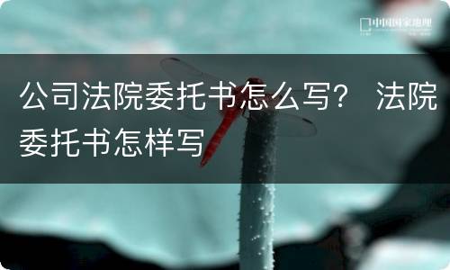 公司法院委托书怎么写？ 法院委托书怎样写