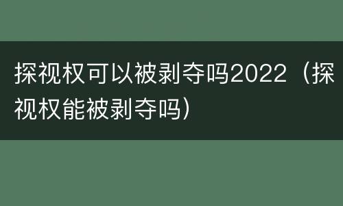 探视权可以被剥夺吗2022（探视权能被剥夺吗）
