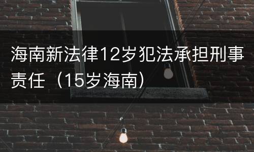 海南新法律12岁犯法承担刑事责任（15岁海南）