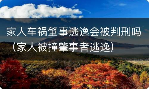 家人车祸肇事逃逸会被判刑吗（家人被撞肇事者逃逸）