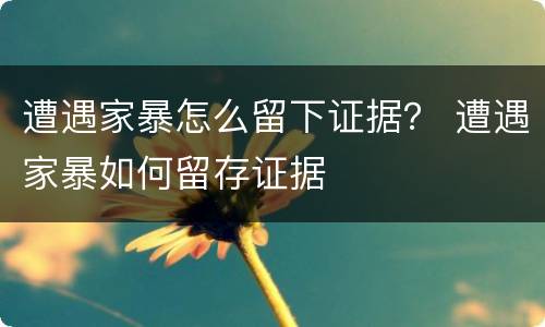 遭遇家暴怎么留下证据？ 遭遇家暴如何留存证据