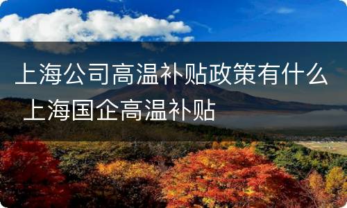 上海公司高温补贴政策有什么 上海国企高温补贴