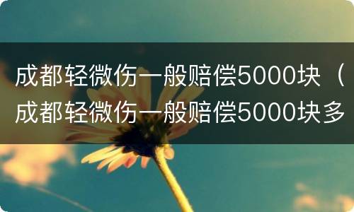 成都轻微伤一般赔偿5000块（成都轻微伤一般赔偿5000块多少钱）