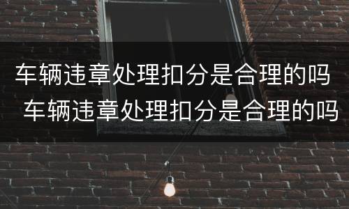 车辆违章处理扣分是合理的吗 车辆违章处理扣分是合理的吗