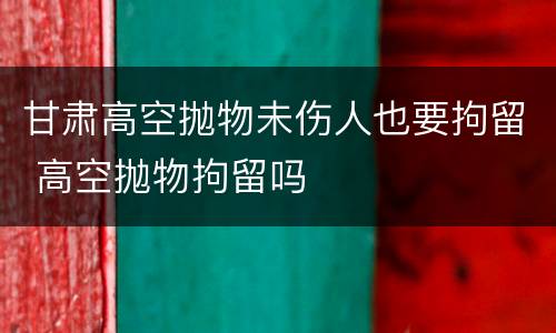 甘肃高空抛物未伤人也要拘留 高空抛物拘留吗