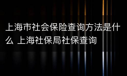 上海市社会保险查询方法是什么 上海社保局社保查询