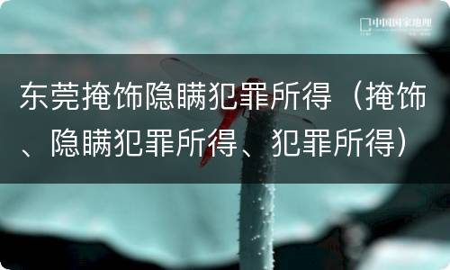 东莞掩饰隐瞒犯罪所得（掩饰、隐瞒犯罪所得、犯罪所得）