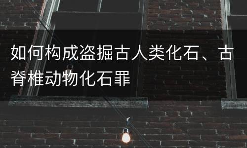 如何构成盗掘古人类化石、古脊椎动物化石罪