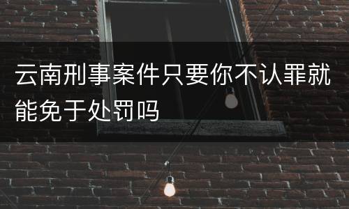 云南刑事案件只要你不认罪就能免于处罚吗