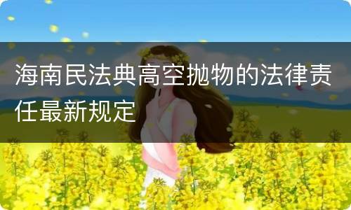 海南民法典高空抛物的法律责任最新规定