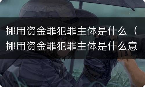 挪用资金罪犯罪主体是什么（挪用资金罪犯罪主体是什么意思）