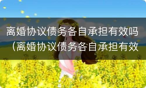 离婚协议债务各自承担有效吗（离婚协议债务各自承担有效吗怎么写）