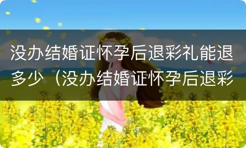 没办结婚证怀孕后退彩礼能退多少（没办结婚证怀孕后退彩礼能退多少钱）