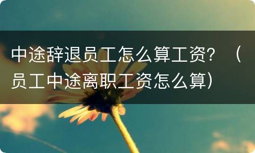 中途辞退员工怎么算工资？（员工中途离职工资怎么算）