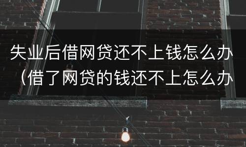 失业后借网贷还不上钱怎么办（借了网贷的钱还不上怎么办?）