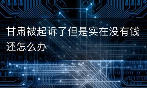 甘肃被起诉了但是实在没有钱还怎么办