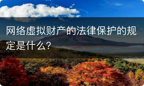 网络虚拟财产的法律保护的规定是什么？