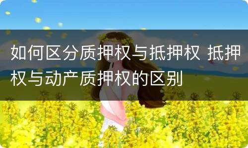 如何区分质押权与抵押权 抵押权与动产质押权的区别