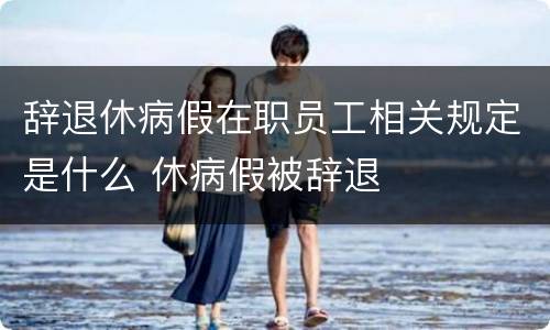 辞退休病假在职员工相关规定是什么 休病假被辞退