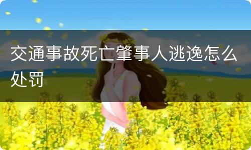 交通事故死亡肇事人逃逸怎么处罚