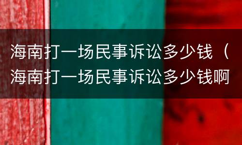 海南打一场民事诉讼多少钱（海南打一场民事诉讼多少钱啊）