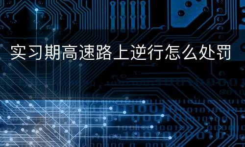 实习期高速路上逆行怎么处罚
