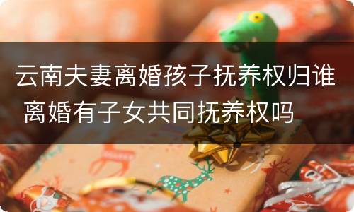 云南夫妻离婚孩子抚养权归谁 离婚有子女共同抚养权吗
