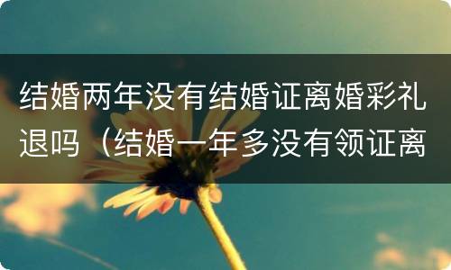 结婚两年没有结婚证离婚彩礼退吗（结婚一年多没有领证离婚退彩礼吗）