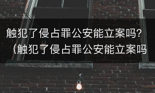 触犯了侵占罪公安能立案吗？（触犯了侵占罪公安能立案吗知乎）