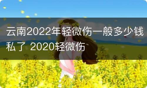 云南2022年轻微伤一般多少钱私了 2020轻微伤