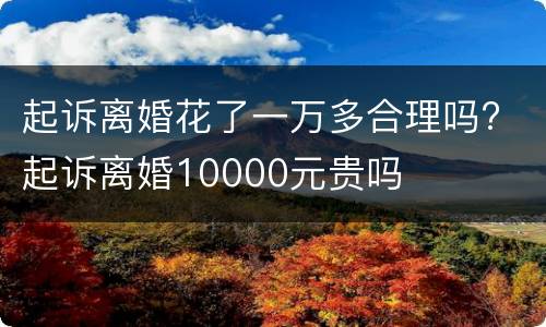 起诉离婚花了一万多合理吗? 起诉离婚10000元贵吗