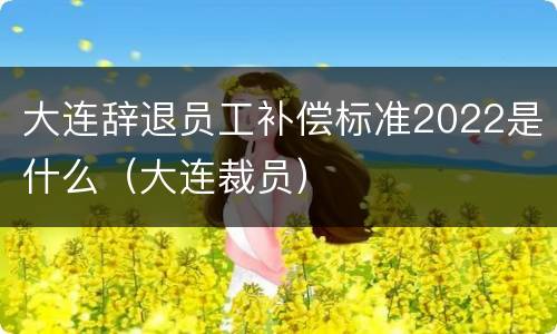 大连辞退员工补偿标准2022是什么（大连裁员）