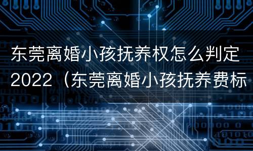 东莞离婚小孩抚养权怎么判定2022（东莞离婚小孩抚养费标准）
