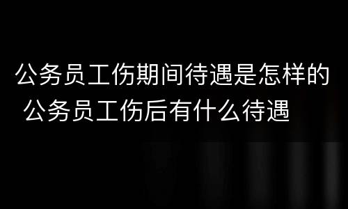 公务员工伤期间待遇是怎样的 公务员工伤后有什么待遇