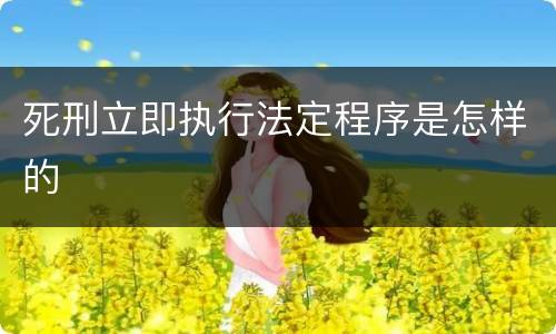 死刑立即执行法定程序是怎样的
