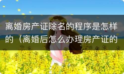 离婚房产证除名的程序是怎样的（离婚后怎么办理房产证的除名）