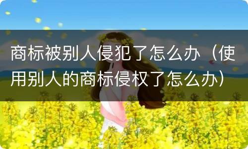 商标被别人侵犯了怎么办（使用别人的商标侵权了怎么办）