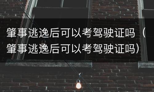 肇事逃逸后可以考驾驶证吗（肇事逃逸后可以考驾驶证吗）
