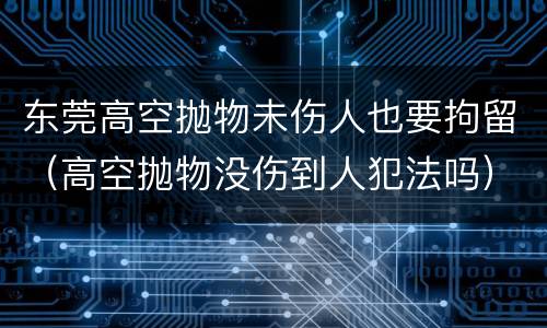 东莞高空抛物未伤人也要拘留（高空抛物没伤到人犯法吗）