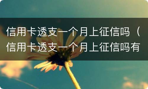 信用卡透支一个月上征信吗（信用卡透支一个月上征信吗有影响吗）