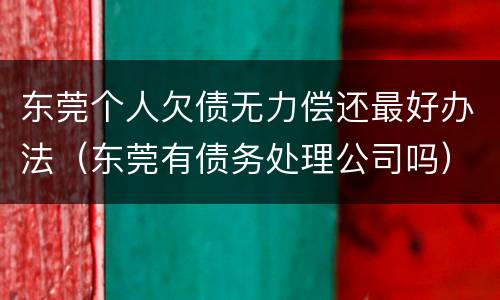 东莞个人欠债无力偿还最好办法（东莞有债务处理公司吗）