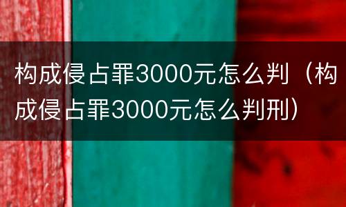 构成侵占罪3000元怎么判（构成侵占罪3000元怎么判刑）