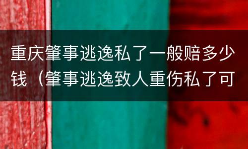重庆肇事逃逸私了一般赔多少钱（肇事逃逸致人重伤私了可以私了吗）