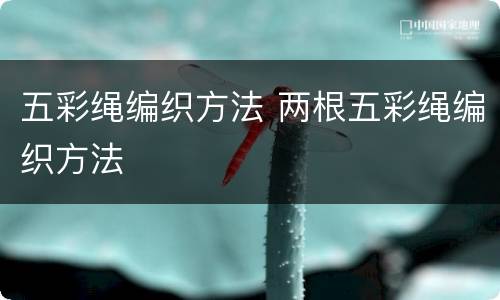 五彩绳编织方法 两根五彩绳编织方法