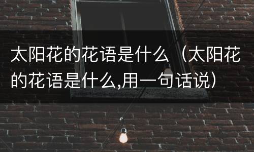 太阳花的花语是什么（太阳花的花语是什么,用一句话说）