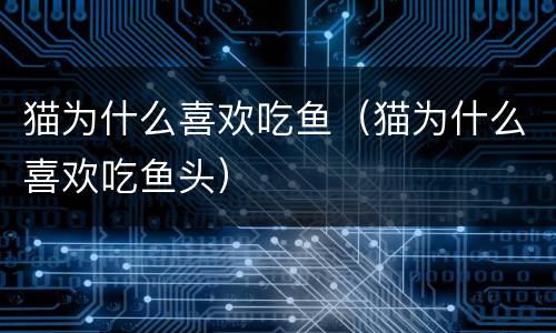 猫为什么喜欢吃鱼（猫为什么喜欢吃鱼头）
