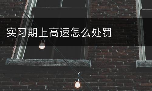 实习期上高速怎么处罚